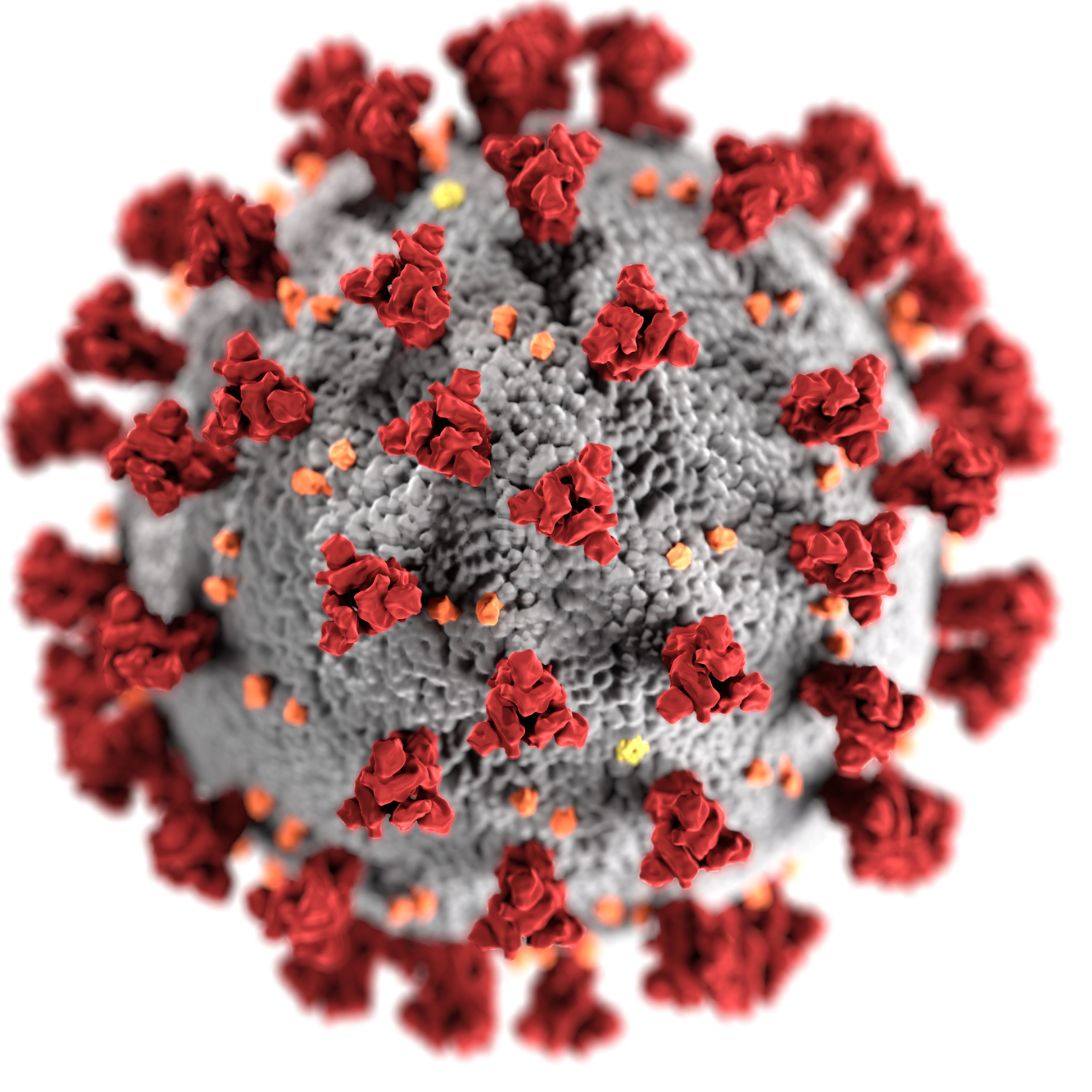 Coronavirus