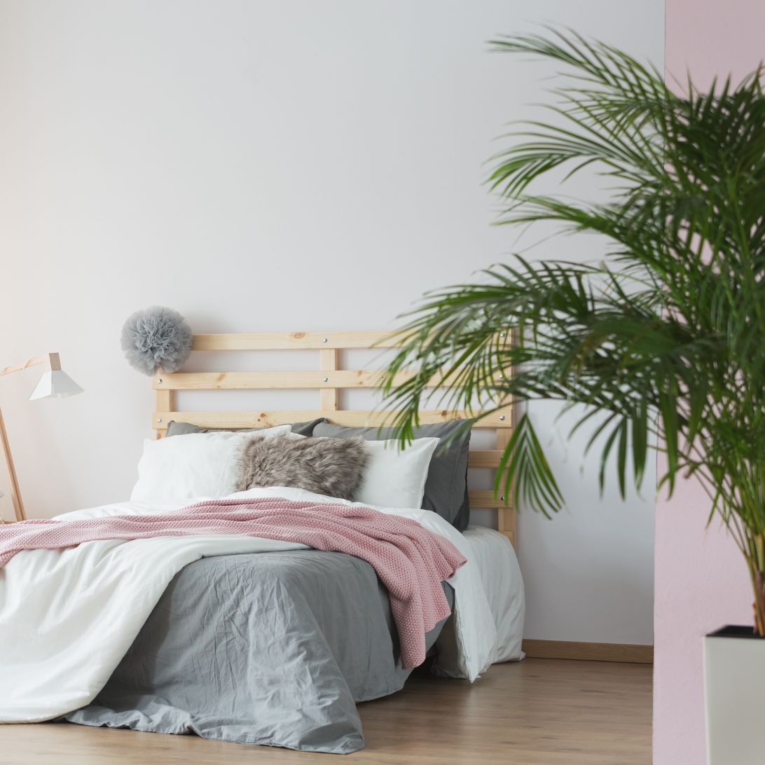Slaapkamer met slaapkamerplanten